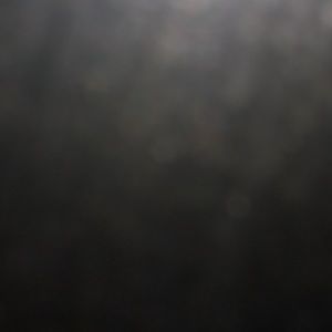 Meet your Posher, Rhett